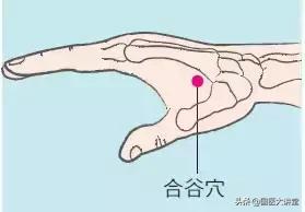 人体穴位图打通全身经络只需一穴,胃经经络穴位图口诀