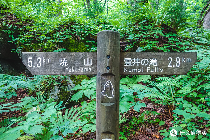 超级震撼的夏日风景,夏季日本旅游15天攻略