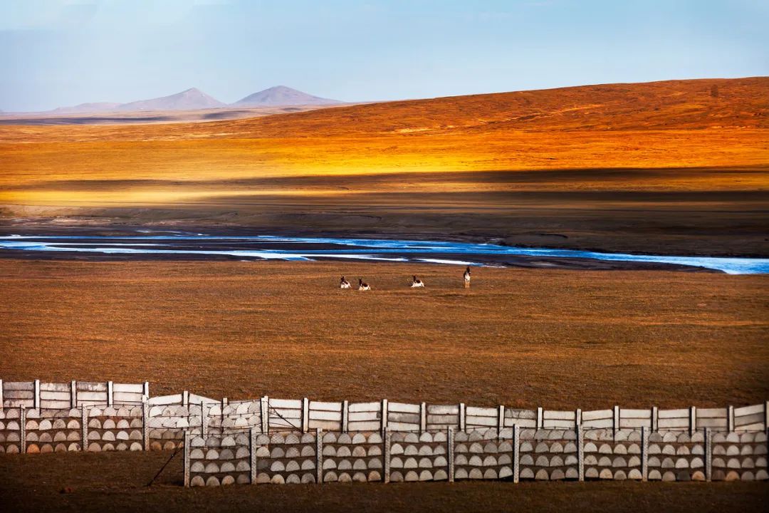 这就是长江,一年四季的长江