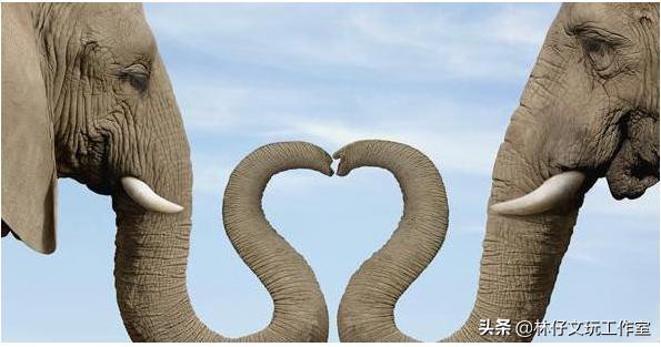 这三种文玩千万别碰,这几种文玩已经跌落神坛