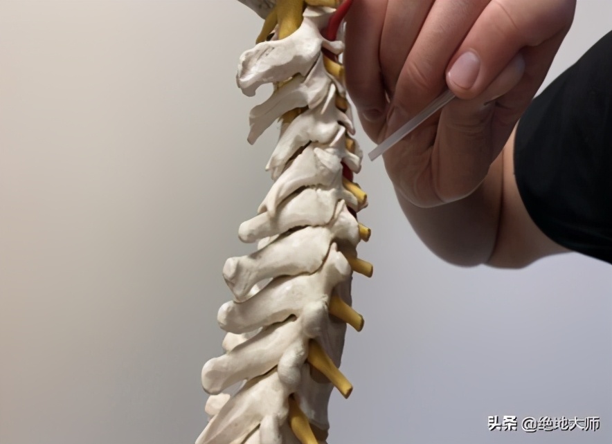 慢性颈痛推拿手法,慢性颈肩腰腿痛中医调养视频