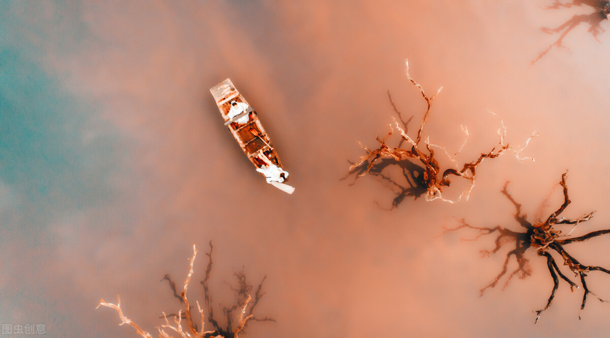 如何让狮子座男重新爱上你,如何让狮子座的男性喜欢你