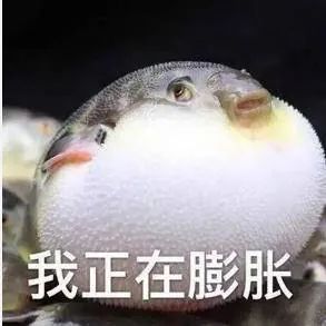 包厢里的七胞胎姐妹花,和背后的暴利美学