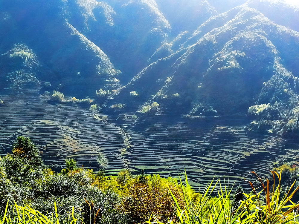 婺源篁岭梯田花海,婺源篁岭欢乐颂