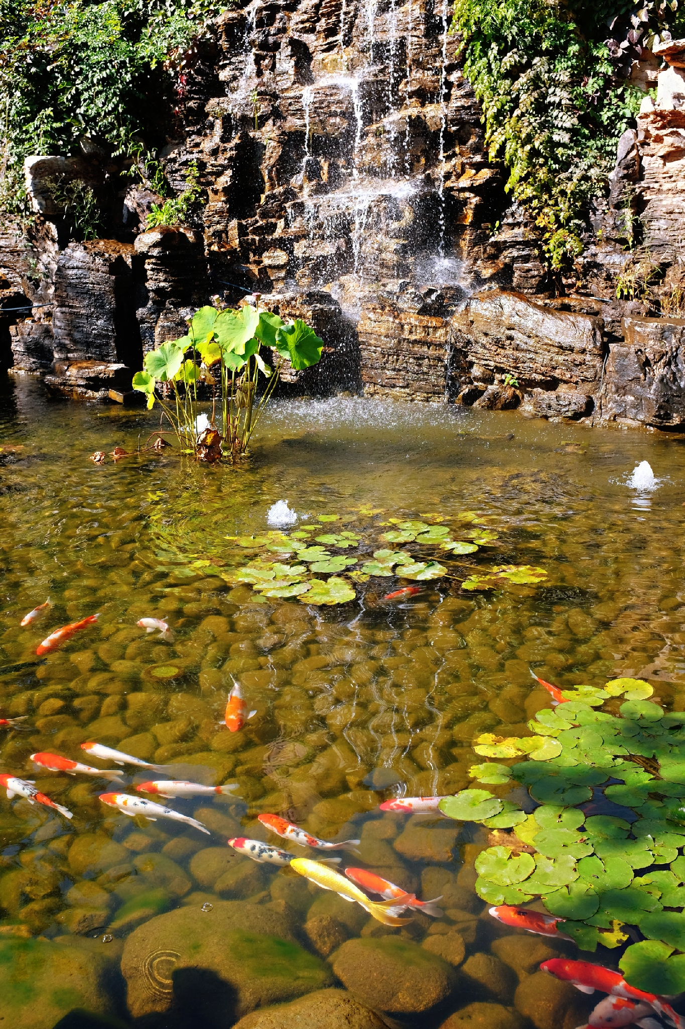 到了北戴河之后怎么去海滨浴场,北戴河怪楼奇园景区今天可以玩吗