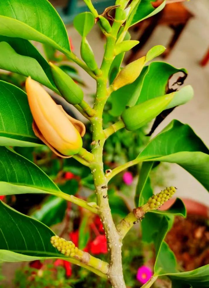 咏酒古诗60首,咏酒古诗词100首