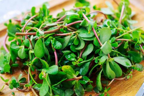 湿疹反复出现身上瘙痒吃什么中药,什么野菜治疗过敏性湿疹