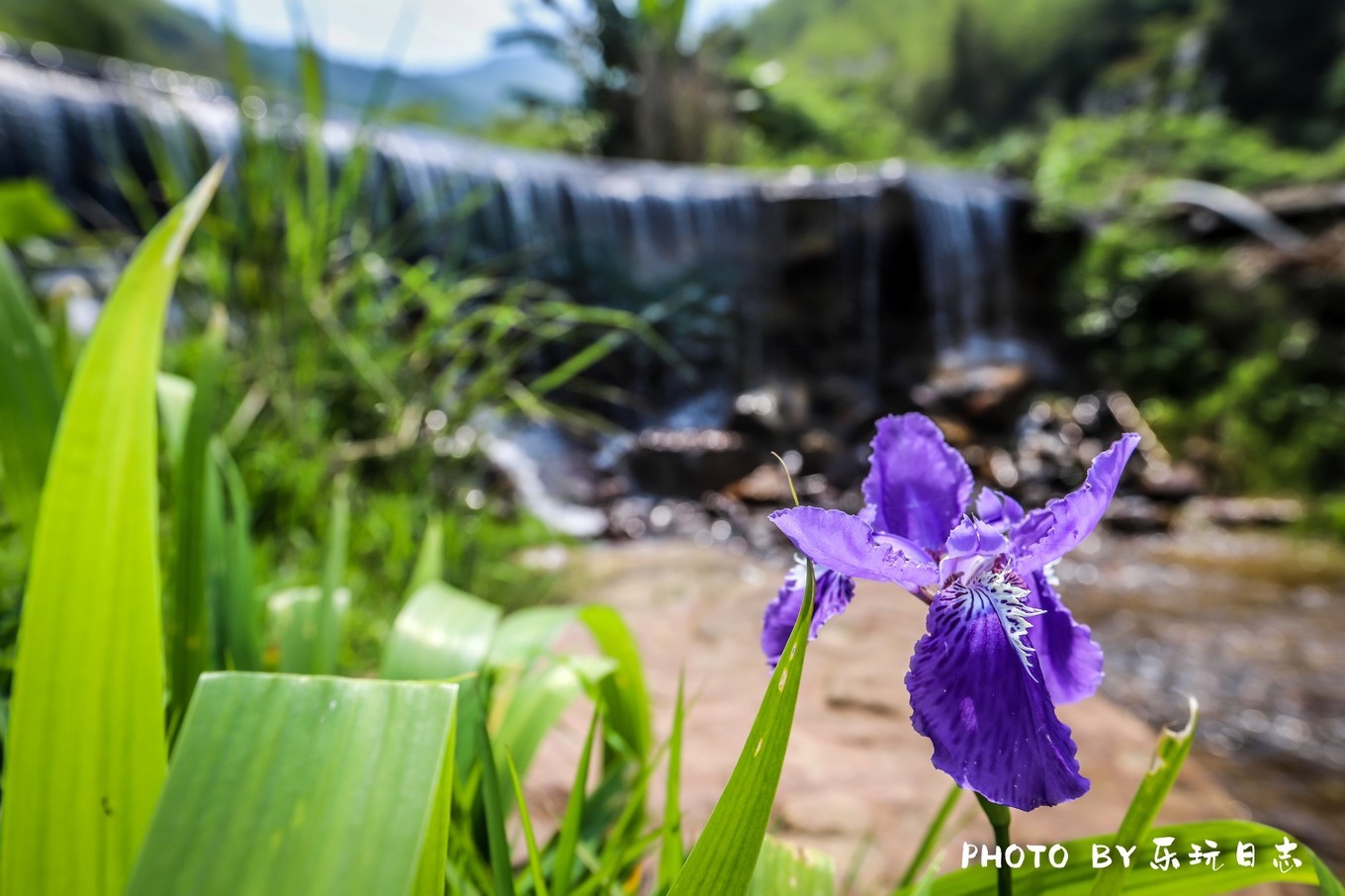 郴州最好的民宿排行榜,郴州山上的民宿推荐