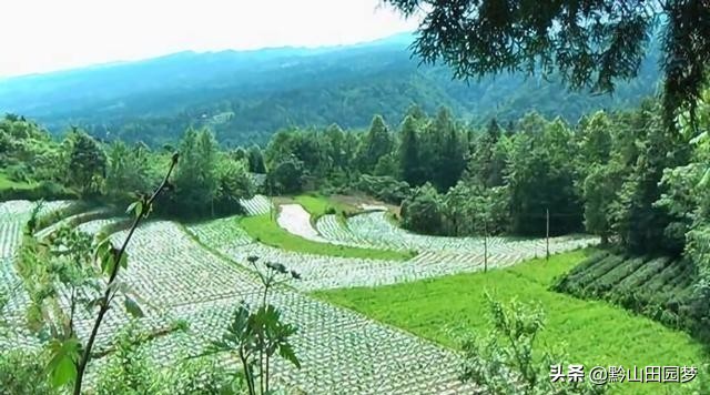 生态产业兴农富民,生态富民的发展思路