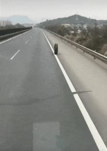 为什么败顶的人不直接剪个光头，评论区笑死你