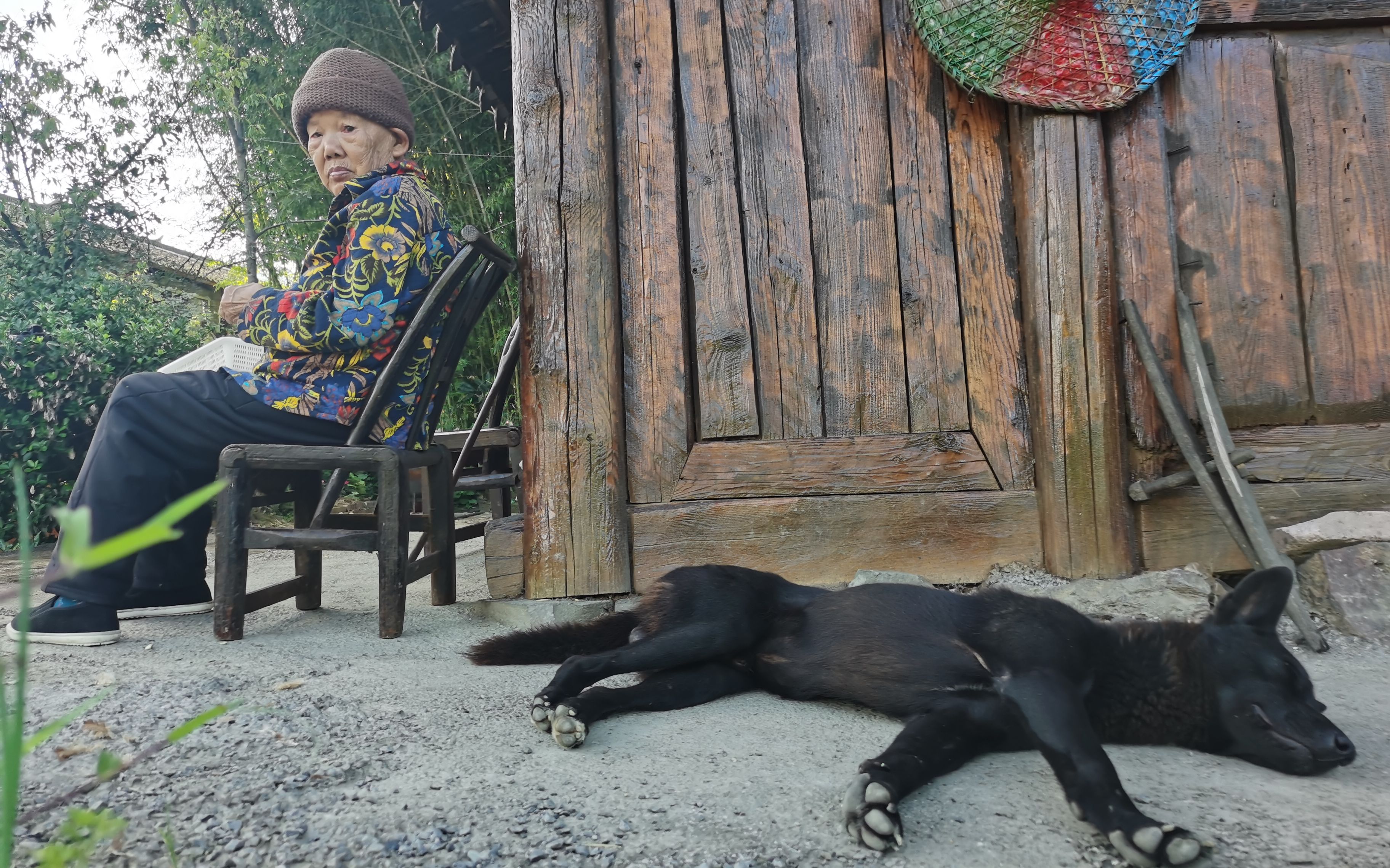 土家村寨枫香河：木楼重生追回落后的三十年