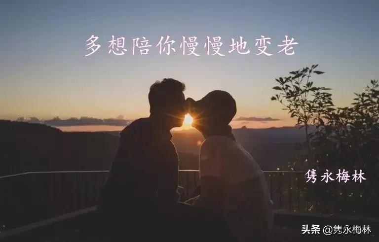 多想陪你慢慢的变老有声小说,多想陪你慢慢地变老第七章