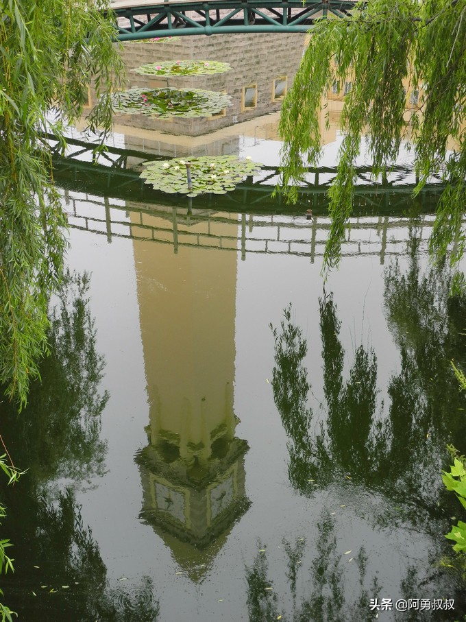 青岛二中2019高考成绩,经验分享大学专业