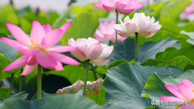 创业怎么借力或借势,创业如何才能借到钱