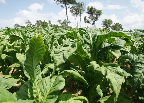 你不了解的敌敌畏,你不了解的煤层气