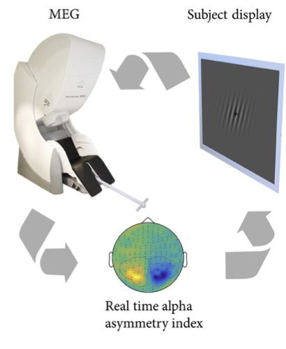 请注意——α波出没