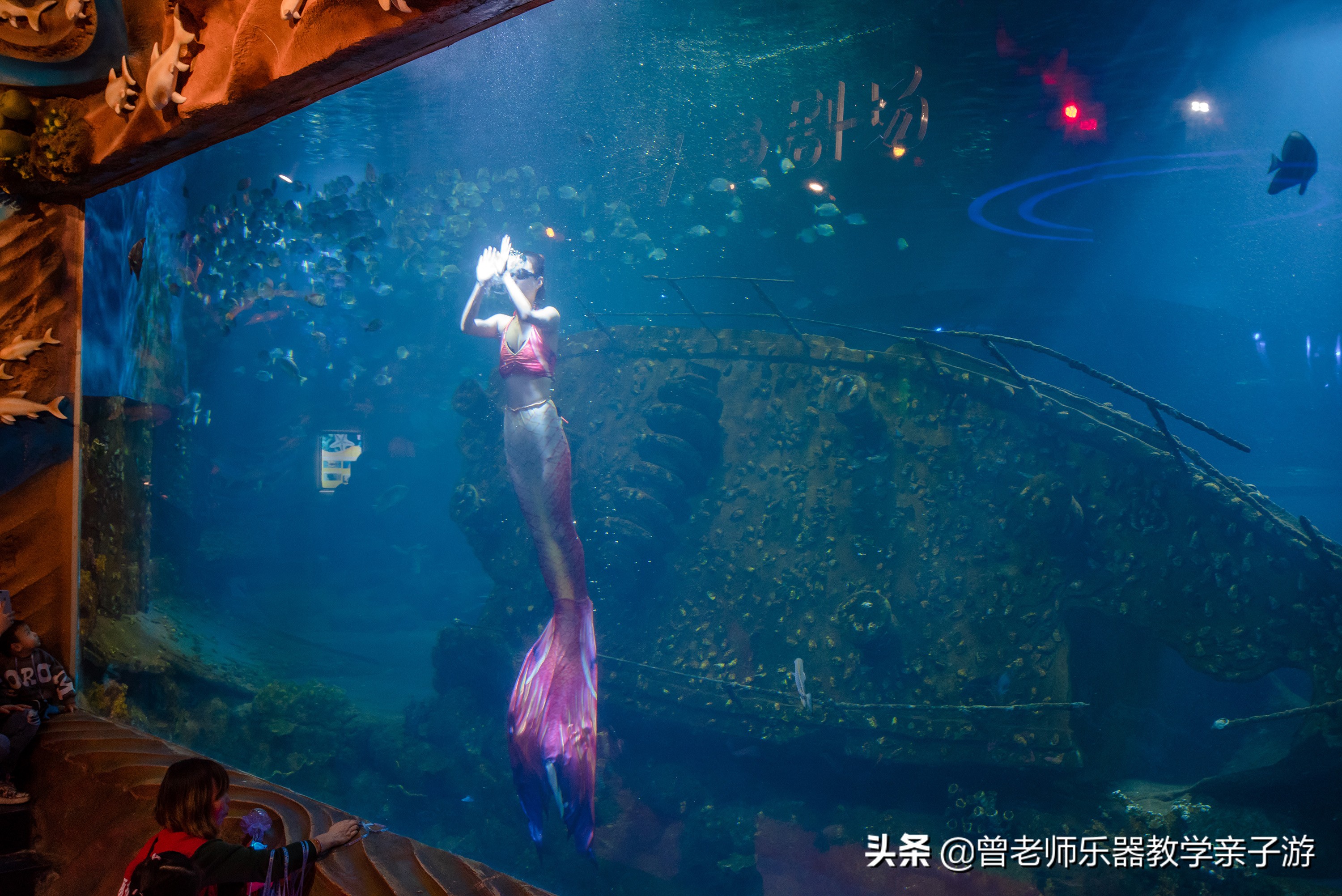 西安太奥海洋馆,西安极地海洋世界海豚表演