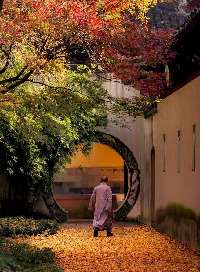 秋季落叶绝美诗句带赏析,有关秋天黄叶的诗句古诗词