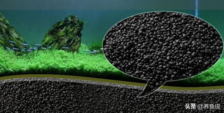 水草泥和陶粒的区别图片,水草泥和陶粒砂哪个贵