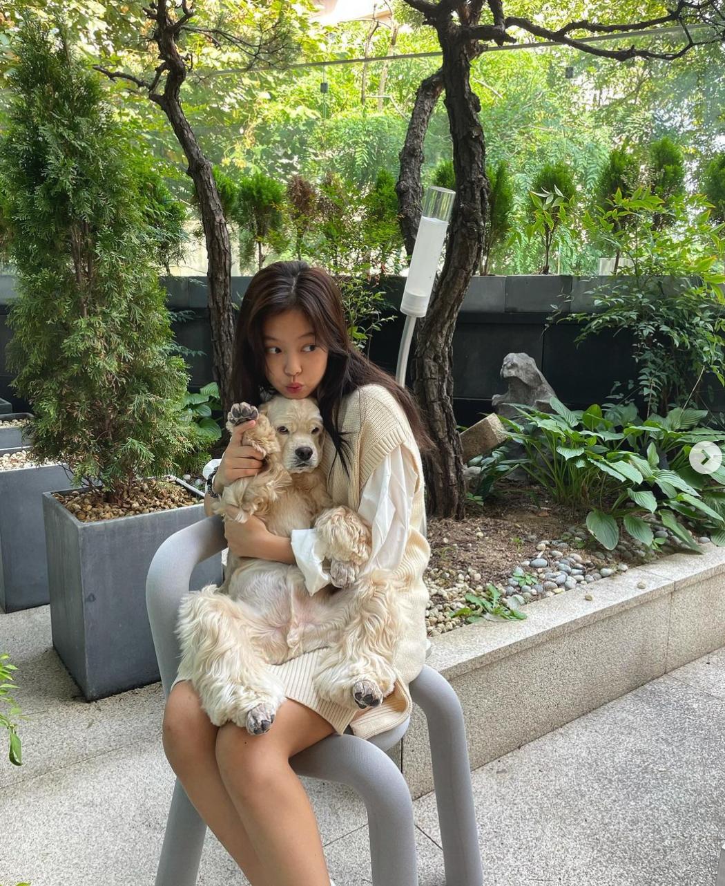 针织单品穿衣搭配图,杨幂jennie同款针织外套