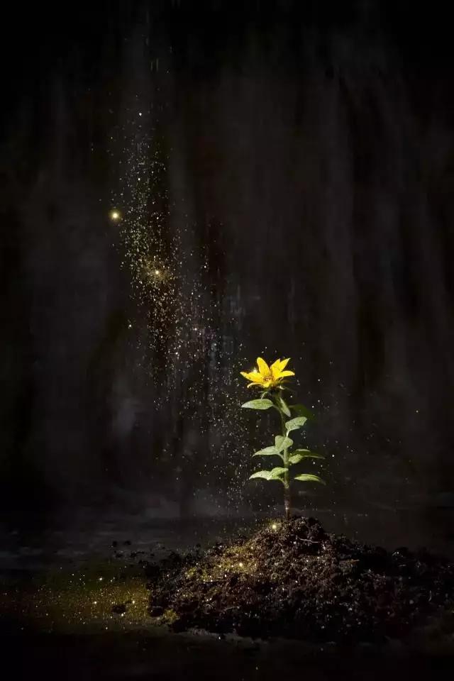 人为什么活着人活着的意义是什么,生命的真谛人活着到底为了什么