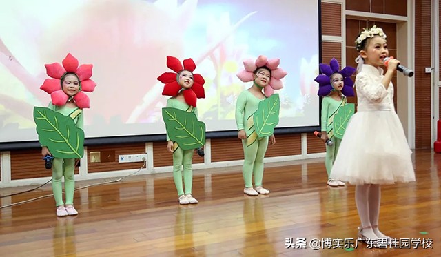 第九届碧桂园杯,第十二届碧桂园杯