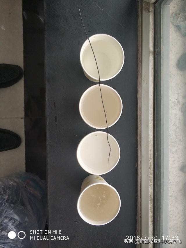 滴灌带阻塞怎么处理,滴灌带堵塞的表现