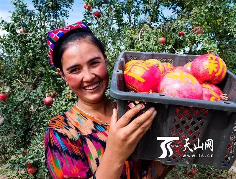 *疆新**瓜果地图?开吃