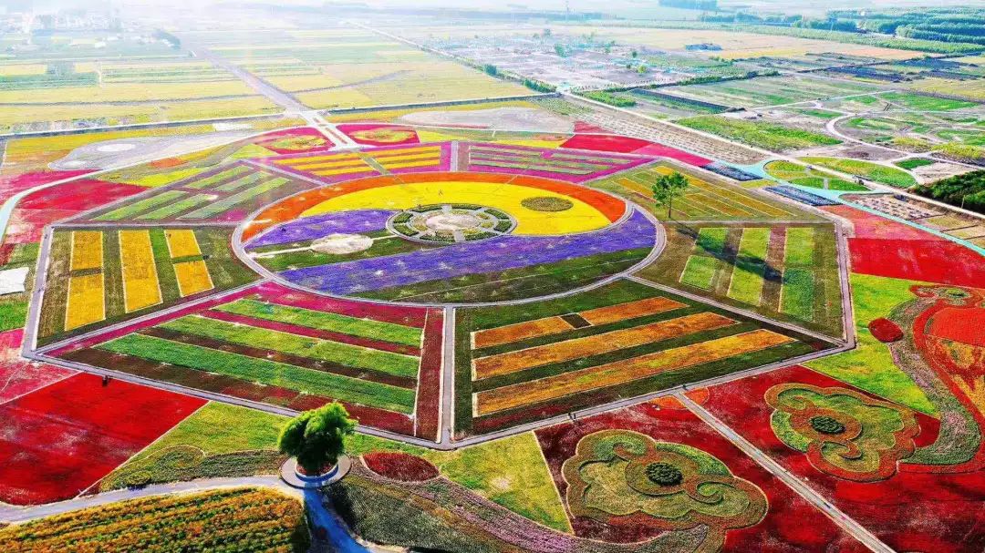 山东德州旅游小镇,山东德州市齐河县景区