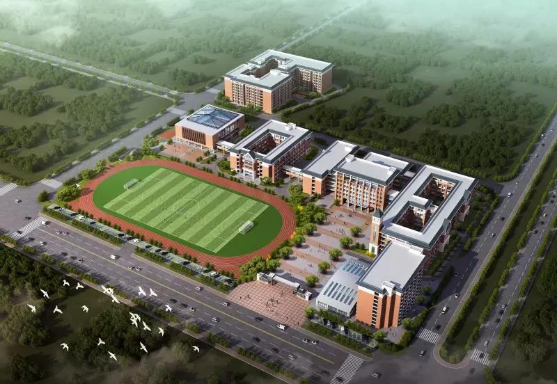 佛山优质教育展直播,佛山首届教育嘉年华来袭