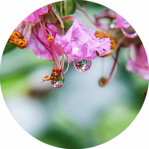 时光清浅秋意阑珊,时光清浅浮世清欢