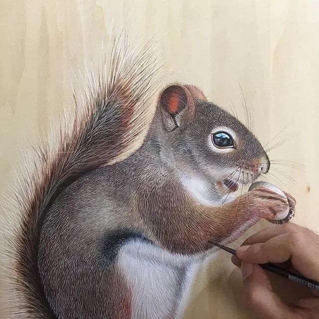 3d超写实彩铅画,超写实彩铅手绘细腻的让人咋舌