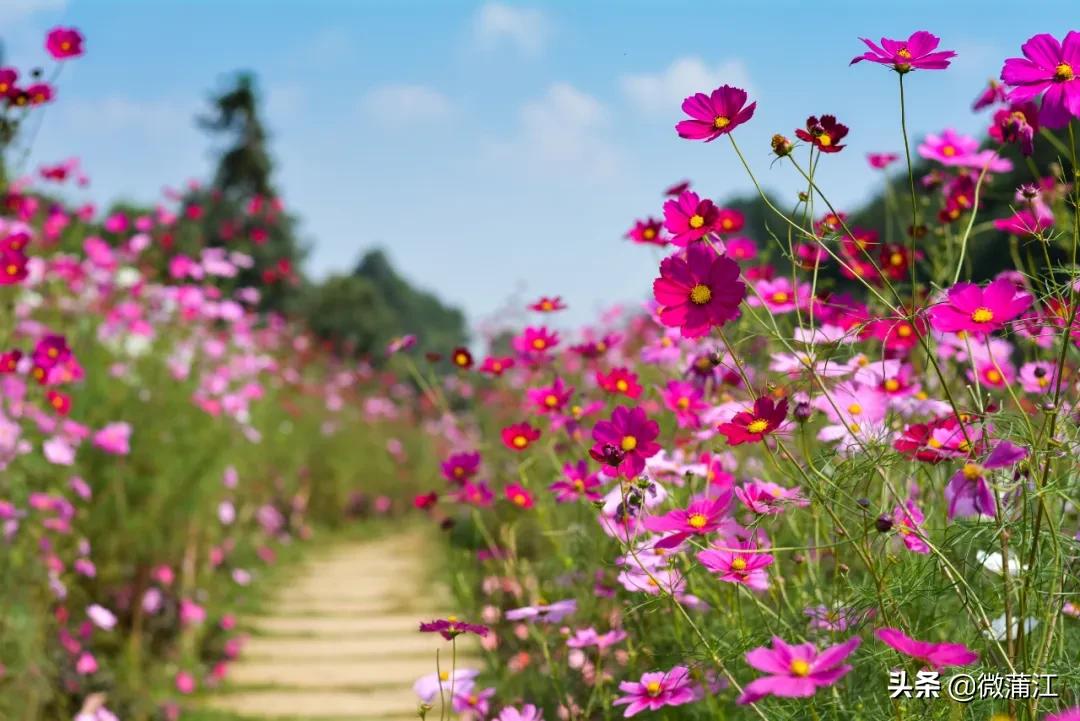 石象湖优惠,石象湖景区3月8号门票优惠吗