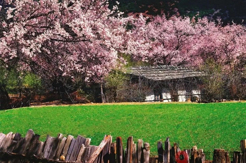 有一种风情叫江南烟雨,波密西藏江南