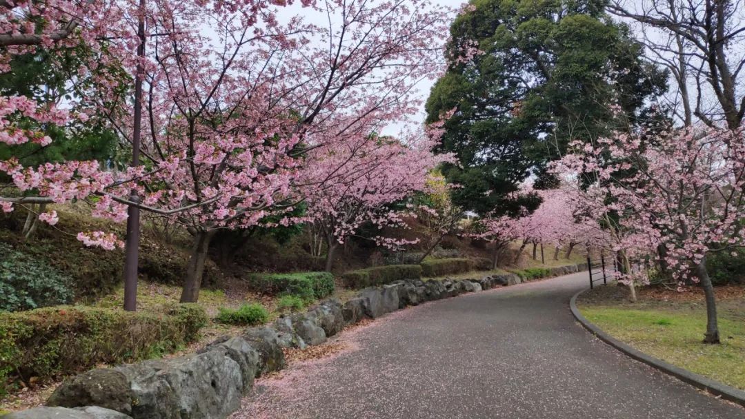 日本本州旅游攻略亲子,日本本州攻略