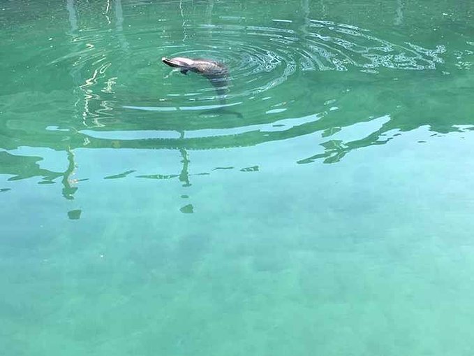 给自己一个度假的理由海南三亚,三亚度假的天堂