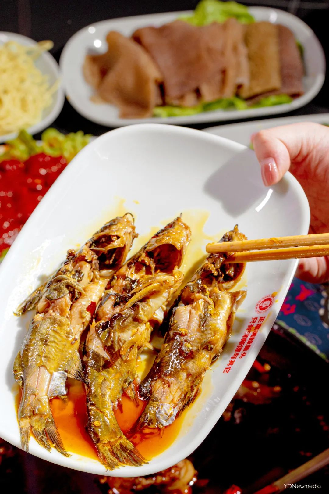 何师傅美蛙鱼头店庆,何师傅美蛙鱼头青年汇