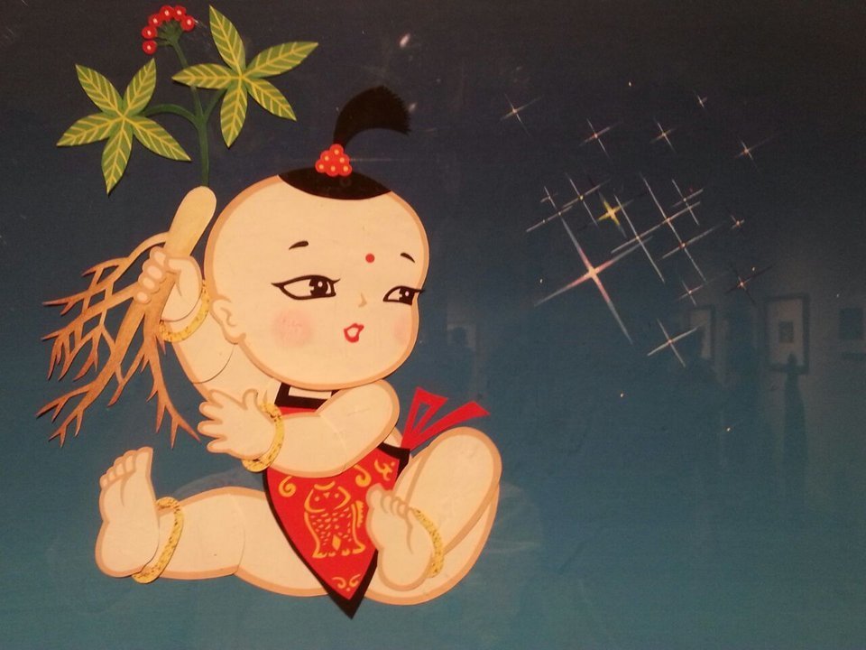 《神农识药》疏调抗艾汤人参