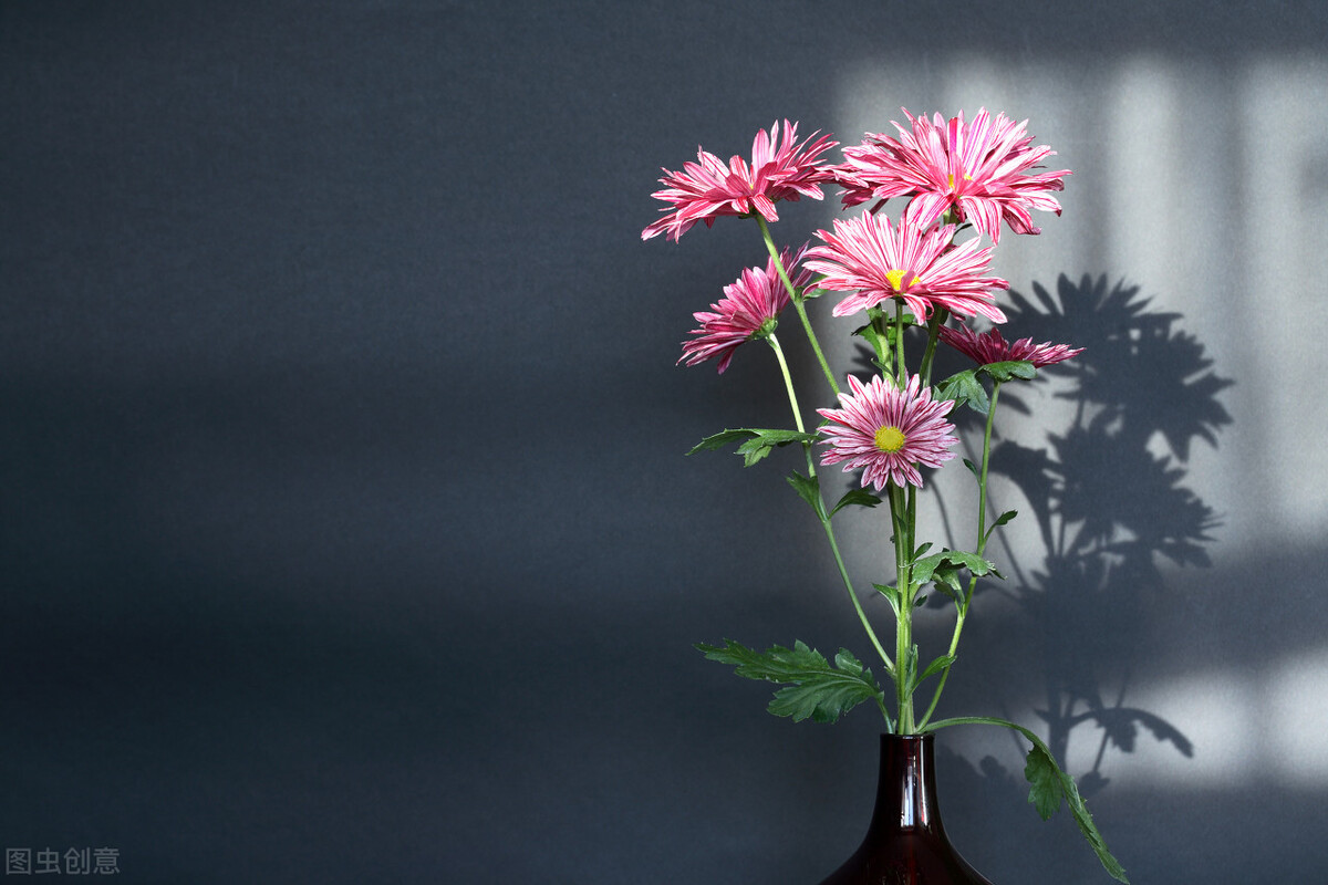 赞美天蝎座和天秤座的唯美句子,赞美天秤座的所有优美句子