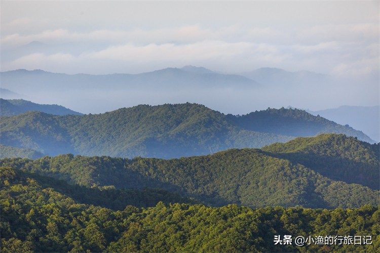 西安周边一小时避暑自驾游推荐,西安周边自驾绝佳避暑去处