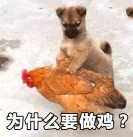 千玺西安同款,肖战易烊千玺同款衣服