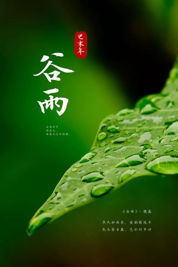 这把伞诵读完整版,这把伞是谁的英文版