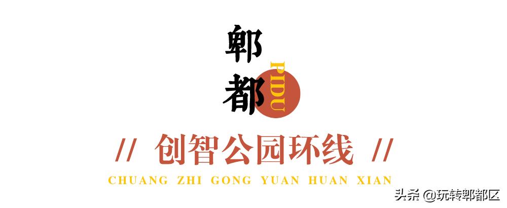 郫都区十大银杏打卡地,郫都区看银杏最好的地方