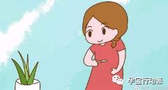 孕期周刊，第十二周