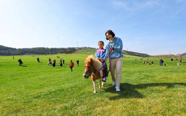 避暑亲子旅游推荐5天游,暑期草原亲子游攻略