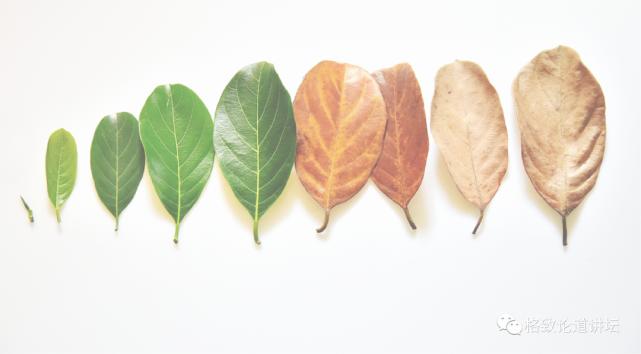 在未来，再生医学能够对我们身体“零件”进行直接的更换？