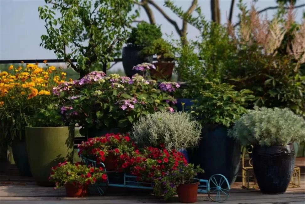 星空露营生态园,星空露营户外团建策划