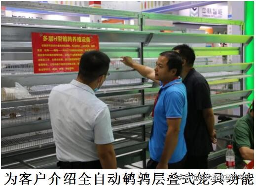 如何破解蛋品安全难题?神丹“全产业方案”引关注