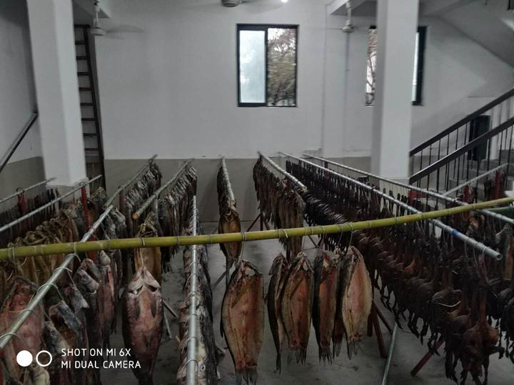 落雨天晒不了酱鸭和鱼干，杭州人不能忍啦！