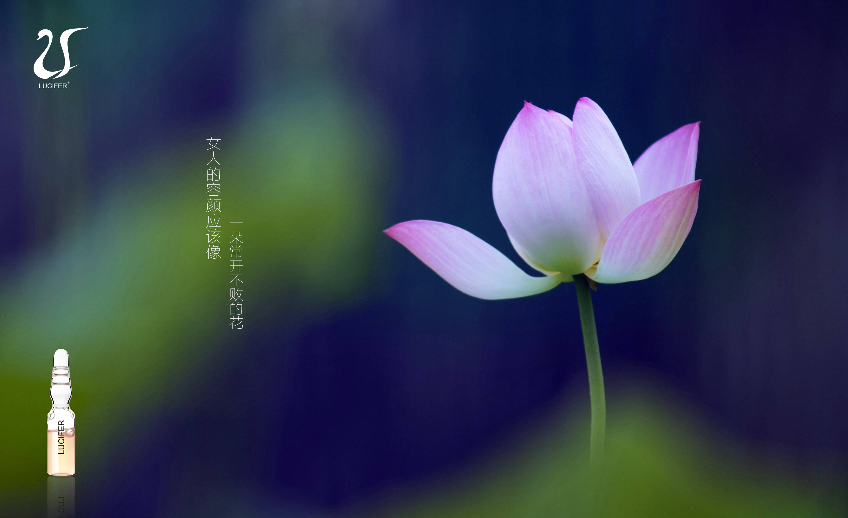 安瓶定妆液的正确用法,安瓶定妆液新娘专用